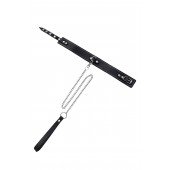 Кожаный двухслойный ошейник с белой строчкой и поводком - Pecado - купить с доставкой в Южно-Сахалинске