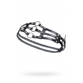 Черный кожаный пояс с кольцами - Pecado - купить с доставкой в Южно-Сахалинске