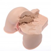 Мастурбатор-полуторс Naked Factory Kate - Naked Factory - в Южно-Сахалинске купить с доставкой