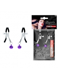 Оригинальные зажимы на соски с фиолетовыми шариками - Notabu - купить с доставкой в Южно-Сахалинске