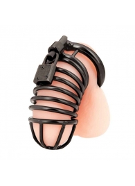 Черная металлическая клетка с замком Deluxe Chastity Cage - BlueLine - купить с доставкой в Южно-Сахалинске