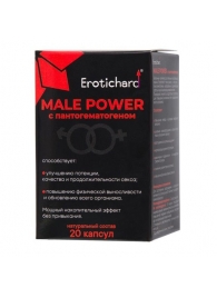 Капсулы для мужчин Erotichard male power с пантогематогеном - 20 капсул (0,370 гр.) - Erotic Hard - купить с доставкой в Южно-Сахалинске