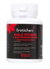 Капсулы для мужчин Erotichard male power с пантогематогеном - 20 капсул (0,370 гр.) - Erotic Hard - купить с доставкой в Южно-Сахалинске