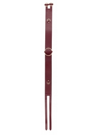 Бордовый ремень Halo Waist Belt - размер L-XL - Shots Media BV - купить с доставкой в Южно-Сахалинске