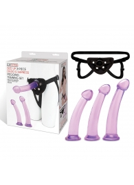 Тренировочный набор с тремя насадками Pegging Training Set - Lux Fetish - купить с доставкой в Южно-Сахалинске