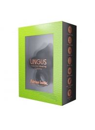 Черное эрекционное кольцо Lingus с вибрацией - Adrien Lastic - в Южно-Сахалинске купить с доставкой