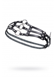 Черный кожаный пояс с кольцами - Pecado - купить с доставкой в Южно-Сахалинске