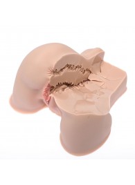 Мастурбатор-полуторс Naked Factory Kate - Naked Factory - в Южно-Сахалинске купить с доставкой