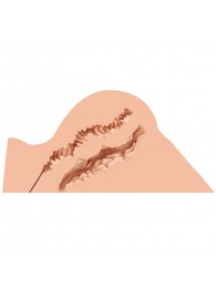 Мастурбатор-полуторс Naked Factory Hannah - Naked Factory - в Южно-Сахалинске купить с доставкой