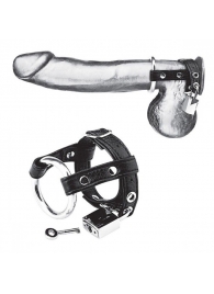 Утяжка на пенис на замочке Duo Cock And Ball Lock - BlueLine - купить с доставкой в Южно-Сахалинске