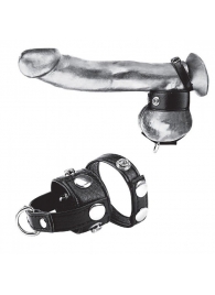 Утяжка для мошонки и пениса Cock Ring With 1  Ball Stretcher And Optional Weight Ring - BlueLine - купить с доставкой в Южно-Сахалинске
