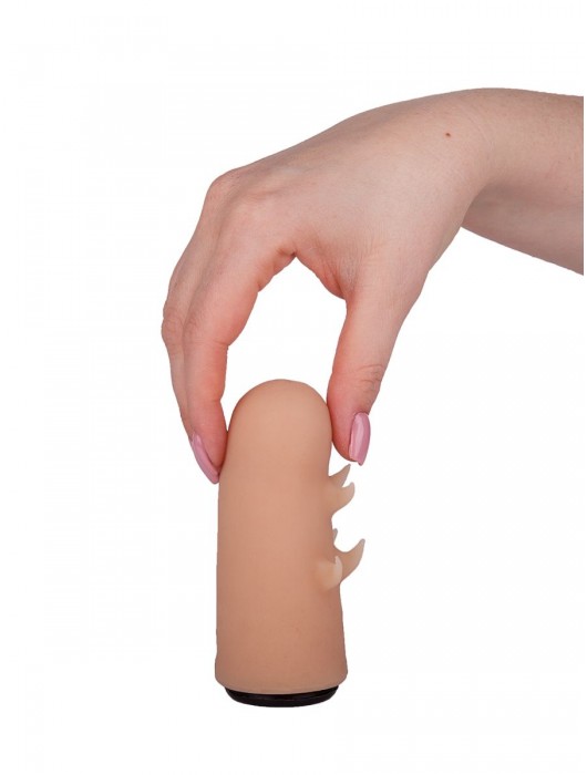 Черный пояс-трусики с двумя насадками  Экзотик-Sara  - 16,5 и 11 см. - LOVETOY (А-Полимер) - купить с доставкой в Южно-Сахалинске