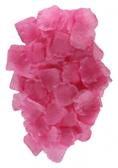 Эротический набор FANTASTIC PURPLE SEX TOY KIT - Toy Joy - купить с доставкой в Южно-Сахалинске