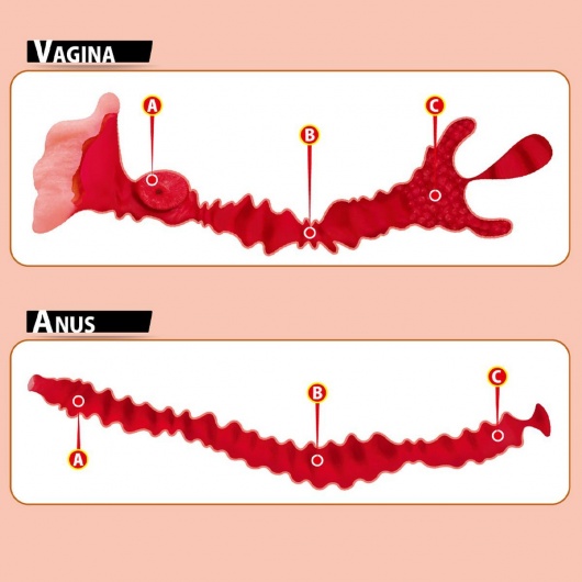 Мастурбатор-полуторс Adel с двумя любовными отверстиями - KOKOS - в Южно-Сахалинске купить с доставкой