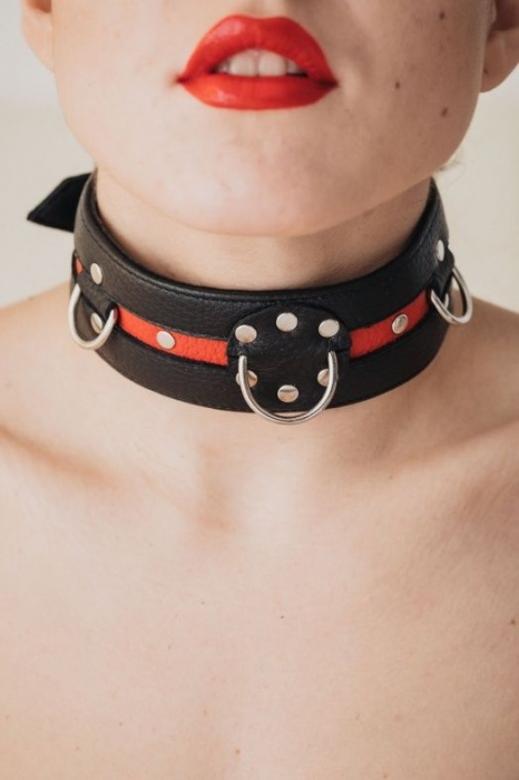 Черно-красный ошейник на пряжке - БДСМ Арсенал - купить с доставкой в Южно-Сахалинске