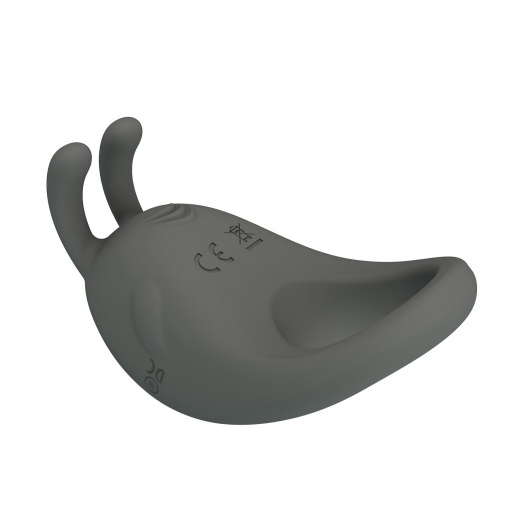 Серое эрекционное кольцо с вибрацией Master Ring - Baile - в Южно-Сахалинске купить с доставкой