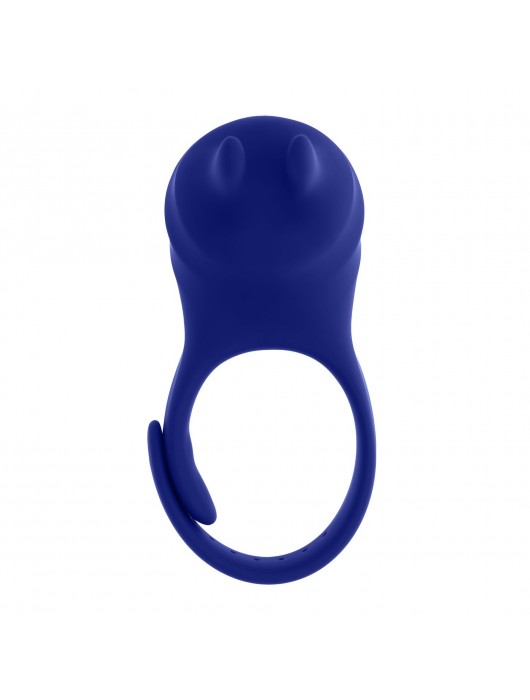 Синее эрекционное виброкольцо с клиторальной подушечкой и пультом ДУ Adjustable Fun Ring - Zero Tolerance - в Южно-Сахалинске купить с доставкой