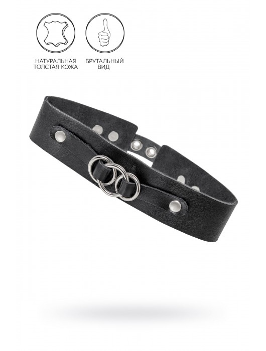 Черный чокер-ошейник со связанными кольцами на подложке - Pecado - купить с доставкой в Южно-Сахалинске