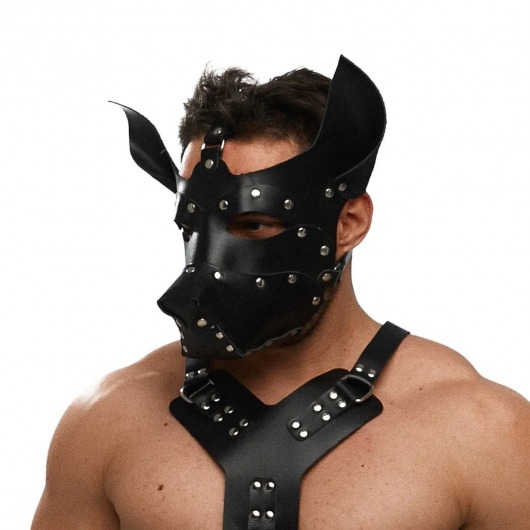 Черная кожаная маска «Собака» - Crazy Handmade - купить с доставкой в Южно-Сахалинске