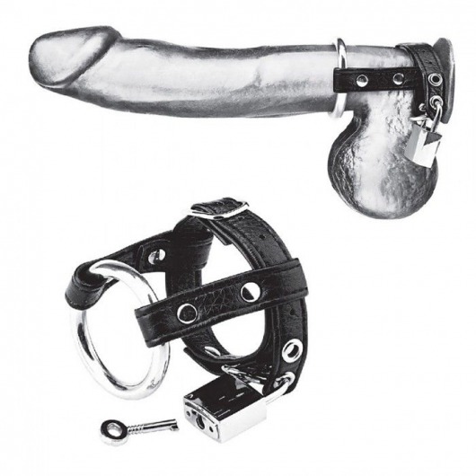 Утяжка на пенис на замочке Duo Cock And Ball Lock - BlueLine - купить с доставкой в Южно-Сахалинске