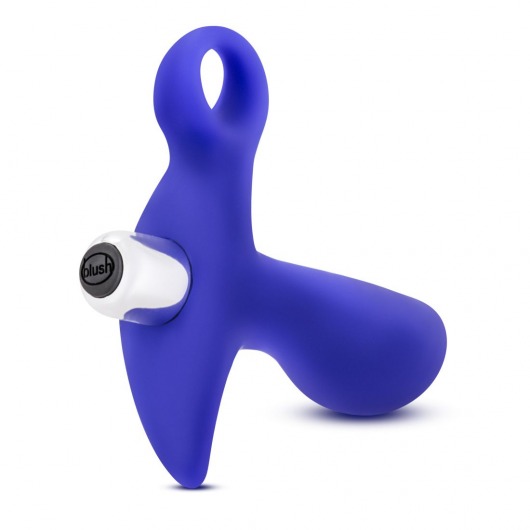 Синий стимулятор простаты с ручкой-кольцом Performance Prostimulator 02 - Blush Novelties - в Южно-Сахалинске купить с доставкой