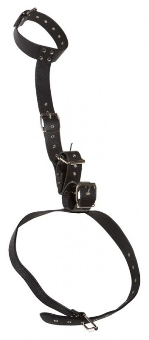 Фиксация на шею и запястья Bad Kitty Neck and Hand Restraints - Orion - купить с доставкой в Южно-Сахалинске
