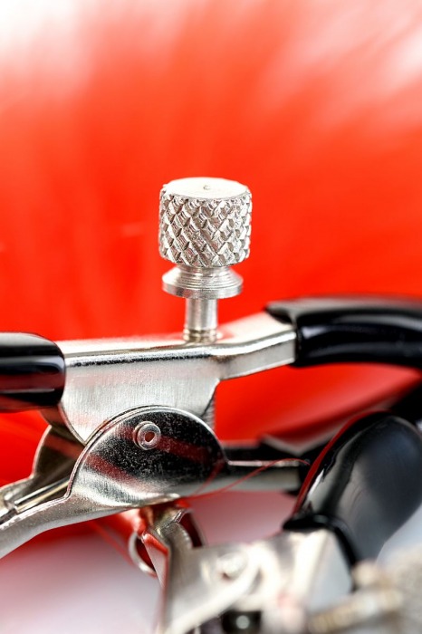 Зажимы для сосков с красным пухом Theatre - ToyFa - купить с доставкой в Южно-Сахалинске